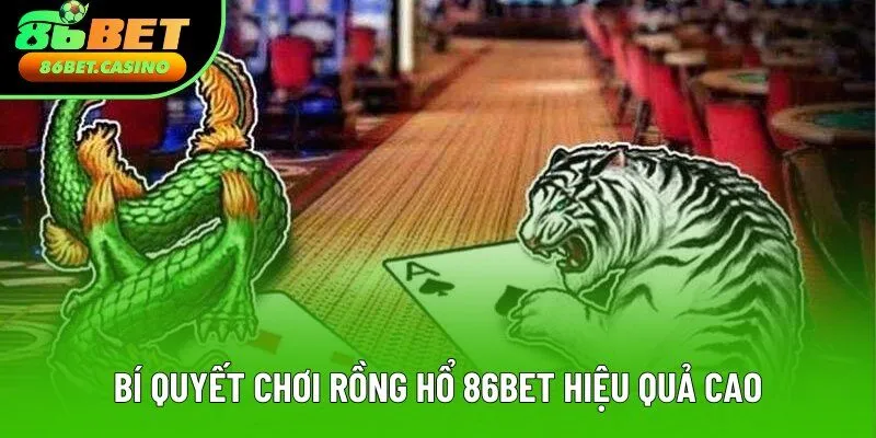 Bí quyết chơi rồng hổ 86bet hiệu quả cao Bí quyết chơi rồng hổ 86bet hiệu quả cao