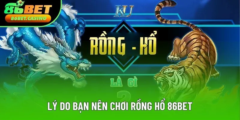 Lý do bạn nên chơi rồng hổ 86bet Lý do bạn nên chơi rồng hổ 86bet